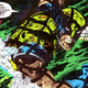 Illustration for article titled James Camerons emX-Men/em movie couldve starred Bob Hoskins as Wolverine